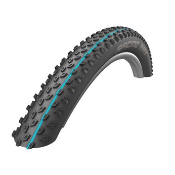CUB.SCHWALBE RACING RAY 29x2.25 HS489 TUB.R. PL.NE