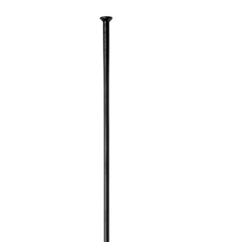 CAJA 100 RADIOS DT SWISS 2.0x1.8x2.0x286mm PLATA