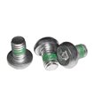 TORNILLO PLAT.SRAM DIRECT MOUNT SPIDER TORX25 (3U)