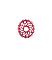 PLATO ABSOLUTE BLACK OVAL.36D DM CX SRAM 1x10/12V AL.ROJO