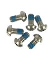 KIT TORNILLOS SRAM POUR DISCO FRENO TITANIO (6UDS)