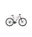 BICI CONWAY RAD ML 4.0 DA. 29