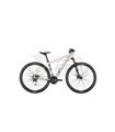 BICI CONWAY RAD MS 4.0 HE. 29