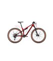 BICI CONWAY RAD RLC FS 4.9 HE. 29