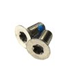 TORNILLOS SRAM T25 FLATMOUNT ACERO ESTRELLA 2 UD
