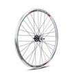 RUEDA DP-18 TRASERA CONTRAPEDAL PULIDA
